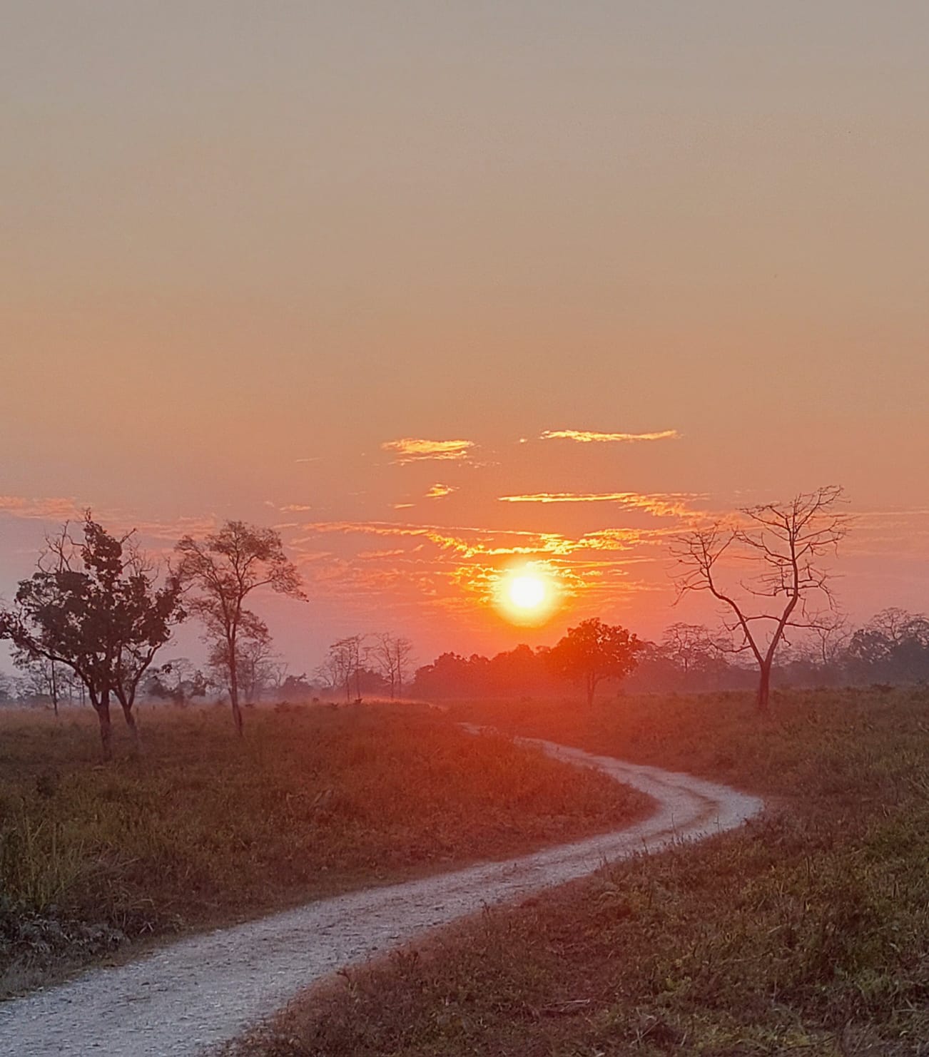 Manas National Park